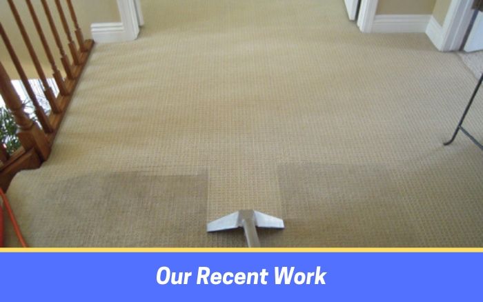 HOW TO CHOOSE THE BEST CARPET CLEANING SERVICE?