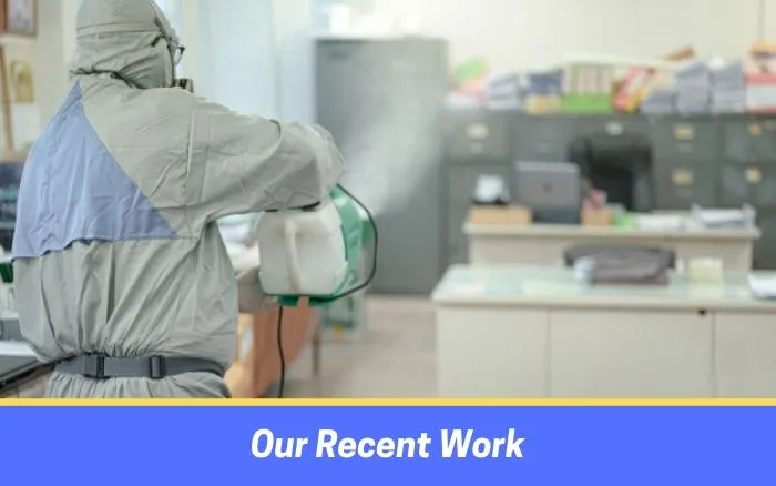 office sanitization and disinfecting brisbane